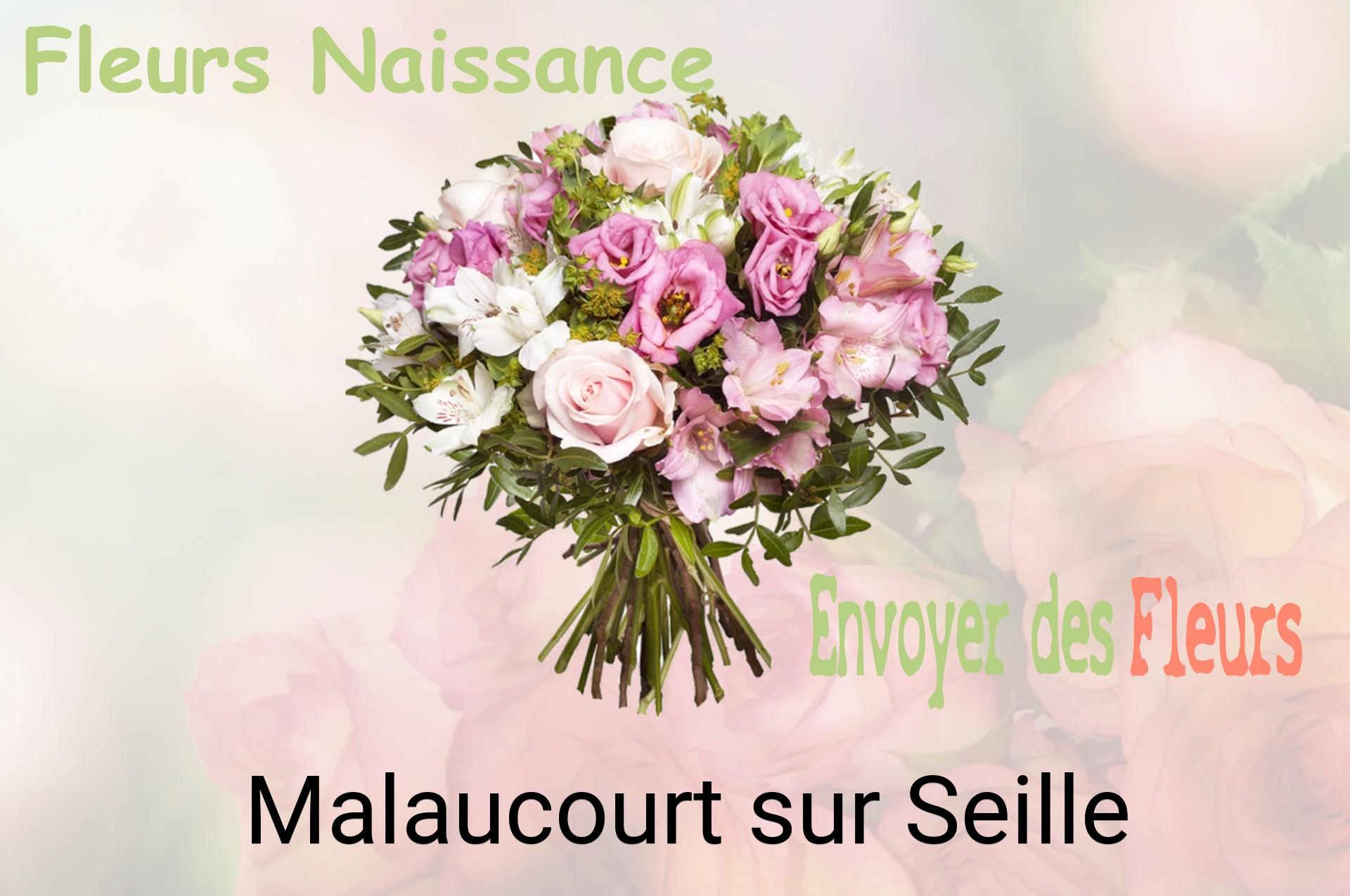 Bouquet de fleurs de naissance livré à Malaucourt-sur-Seille